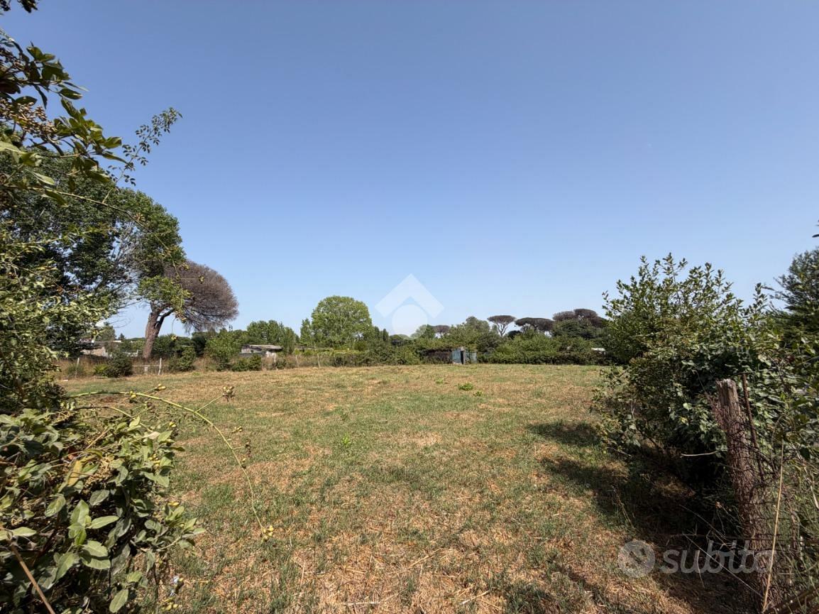 TER. AGRICOLO A ROMA - Ansicht 5