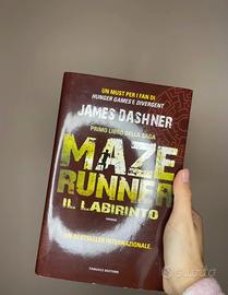 the maze runner