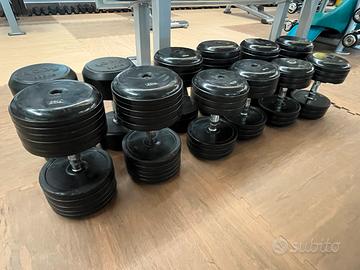 Set Manubri Professionali Gommati Technogym/Tog