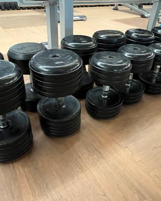 Set Manubri Professionali Gommati Technogym/Tog
