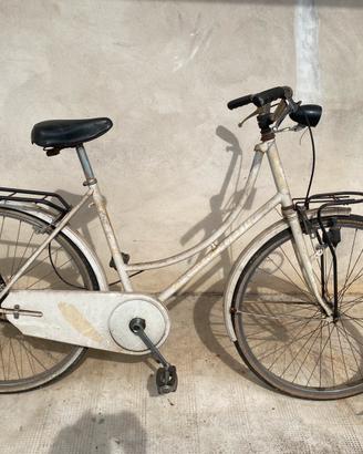 Bicicletta funzionante