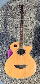 Chitarra acustica washburn