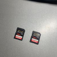 2 schede SD SanDisk 128GB v30