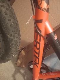 bicicletta 