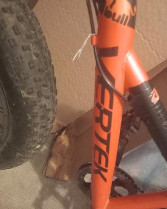 bicicletta 
