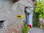 Immagine 21