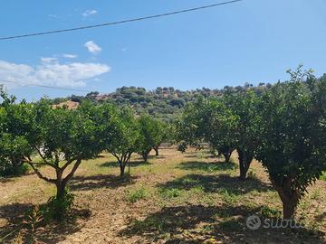 Casa singola con terreno