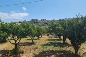 Casa singola con terreno
