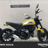 DUCATI Scrambler 800 Icon Yellow