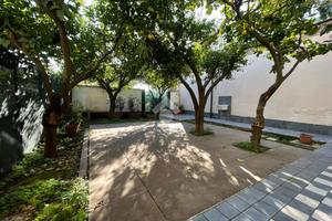 2 LOCALI A POLLENA TROCCHIA