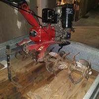 Motozappa  lombardini