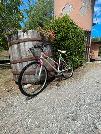 Bicicletta lygie trapper 26”