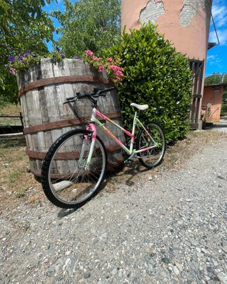 Bicicletta lygie trapper 26”