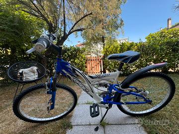 Bicicletta