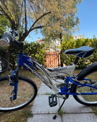 Bicicletta