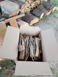 legna di quercia per barbecue o stufa /caminetto 