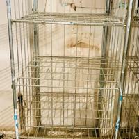 Scaffale con ruote da magazzino L70xP80xH180