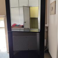 Porta televisore girevole INTERLUBKE