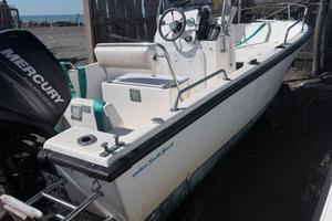 Barca Willy boat 5.80 mercury pro 40 cv