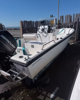 Barca Willy boat 5.80 mercury pro 40 cv