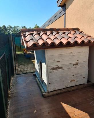 Cuccia cane grande. Legno con isolante termico 