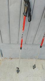 Bastoni per Nordic Walking