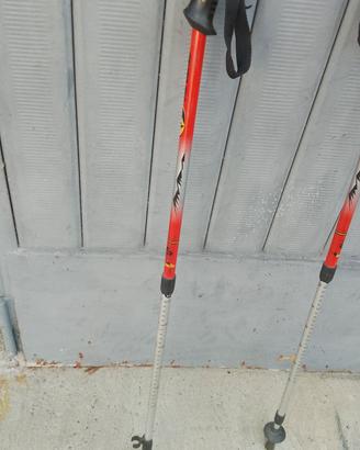 Bastoni per Nordic Walking
