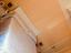 Immagine 13