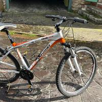 Bicicletta MTB