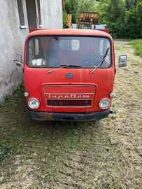 OM Lupetto 25