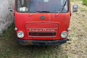 OM Lupetto 25