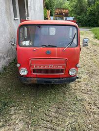 OM Lupetto 25