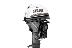 Motore Fuoribordo 25 Cavalli Selva Amberjack