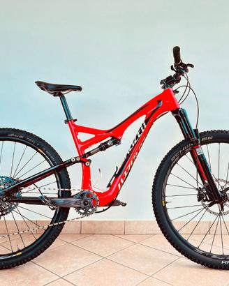 MTB Specialized Stumpjumper Carbon 29
