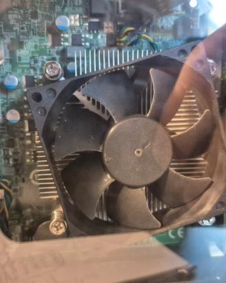 combo mobo cpu ram scheda madre