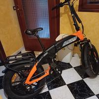 bici elettriche 