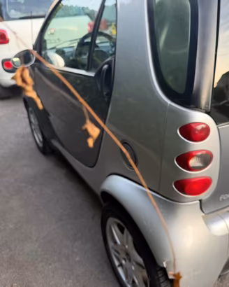 Smart ForTwo 800 cabrio pulse cdi