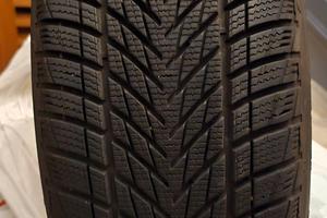 Gomme Invernali GoodYear 225/45R17 91H