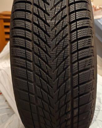 Gomme Invernali GoodYear 225/45R17 91H