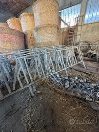 Rastelliere e cancelli mucche