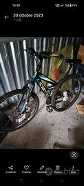 Mountain bike Licorne strong