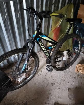 Mountain bike Licorne strong