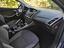 Immagine 10