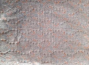 Imetec scaldasonno matrimoniale