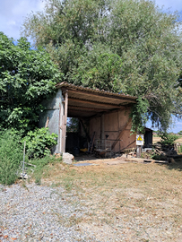 Terreno agricolo con deposito o magazzino