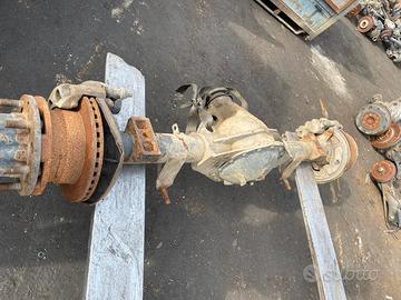 ASSALE POSTERIORE DAILY