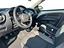 Immagine 7