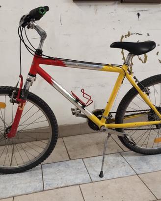 Mountain bike