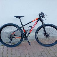 MTB wilier 503 comp