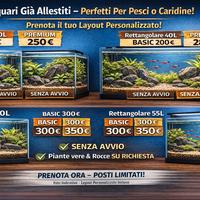 Acquari già allestiti